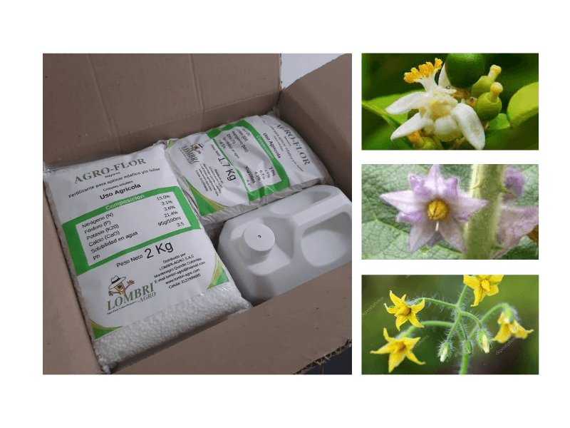 Caja-fertilizantes-floracion