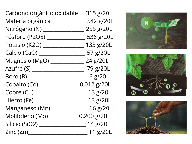 Composicion KIT INICIO (1)