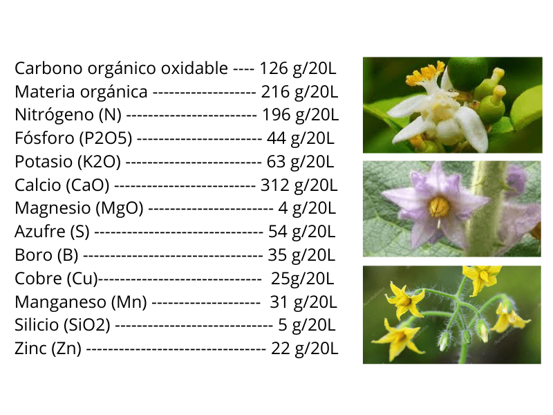 Copia de Copia de Copia de Composicion Floracion web (1)
