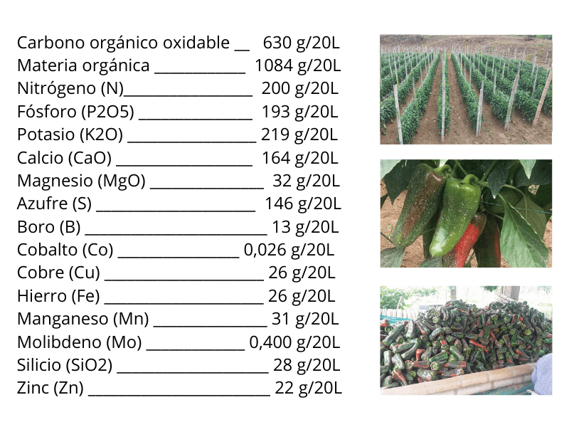 Copia de KIT CRECIMIENTO Composicion (2)