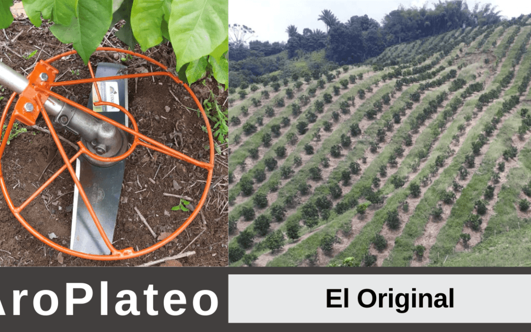 Aroplateo el original