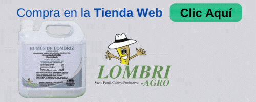 Copia de AROPLATEO MERCADO LIBRE (5)