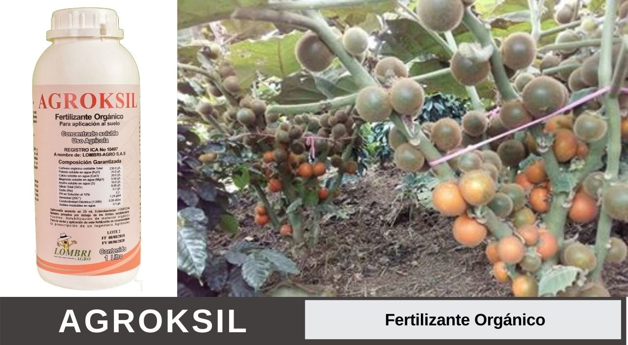 Fertilizantes Orgánico Minerales LOMBRI AGRO