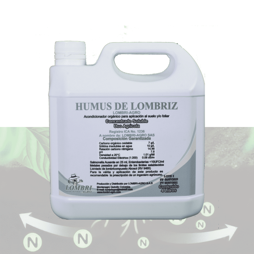 Diseno-sin-titulo-1024x1024 (1) (1)