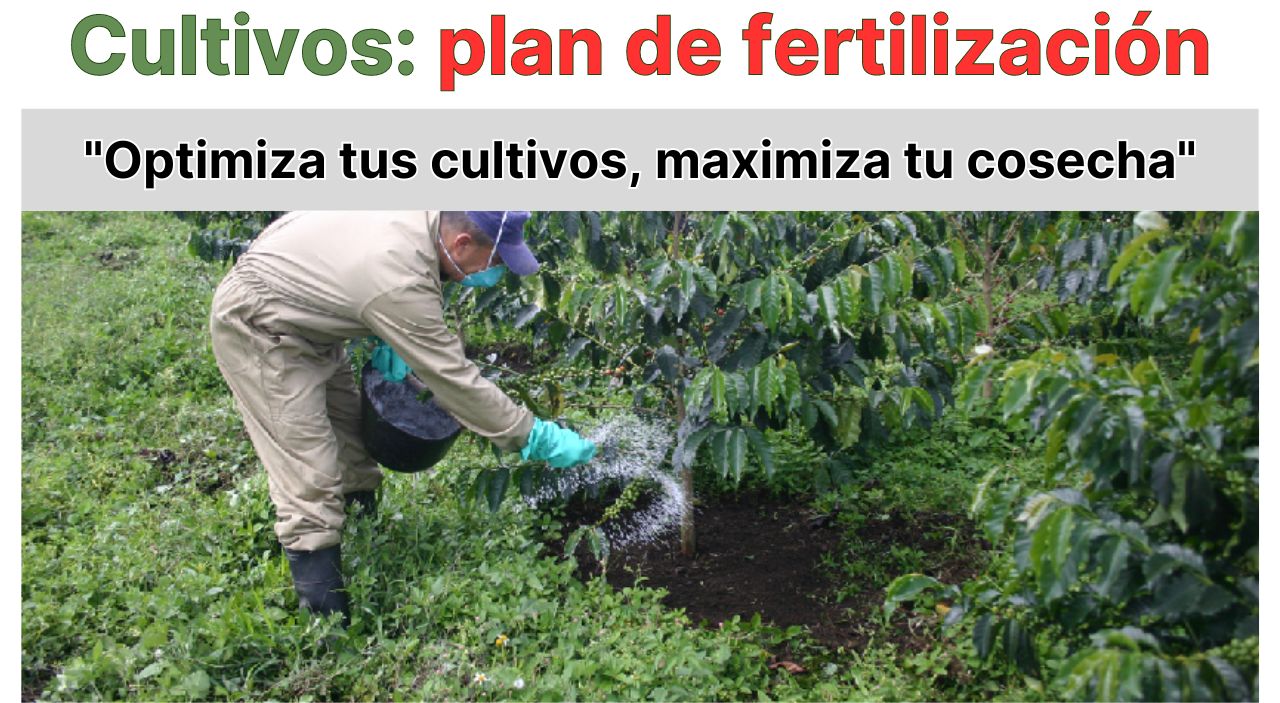 Plan de fertilizacion
